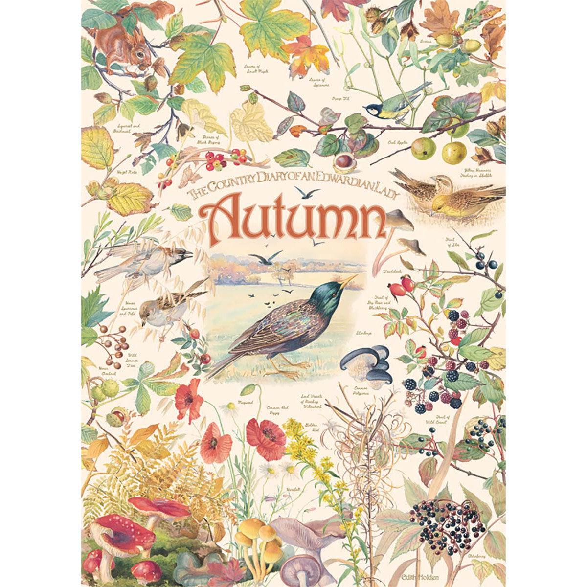 Autumn Country Diary 1000 Piece Jigsaw Puzzle Cobble Hill