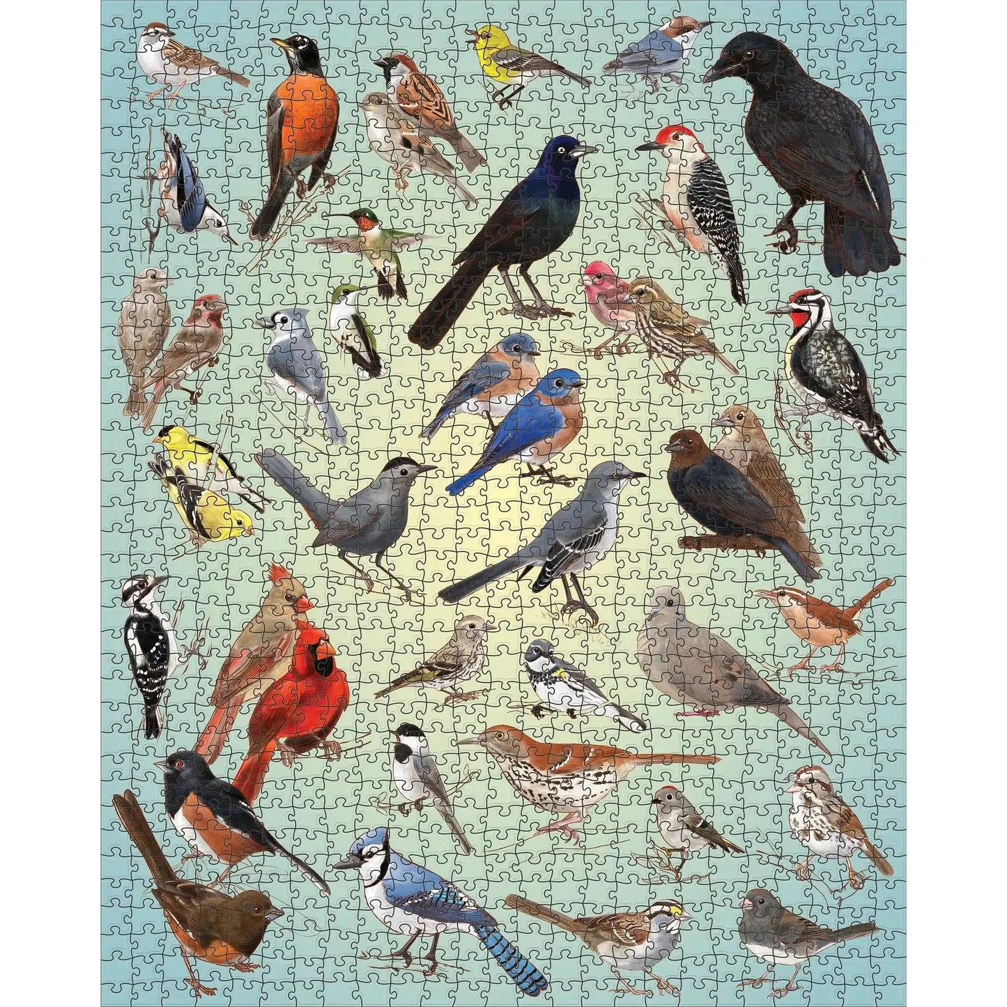 Backyard Birds 1000 Piece Jigsaw Puzzle Pomegranate