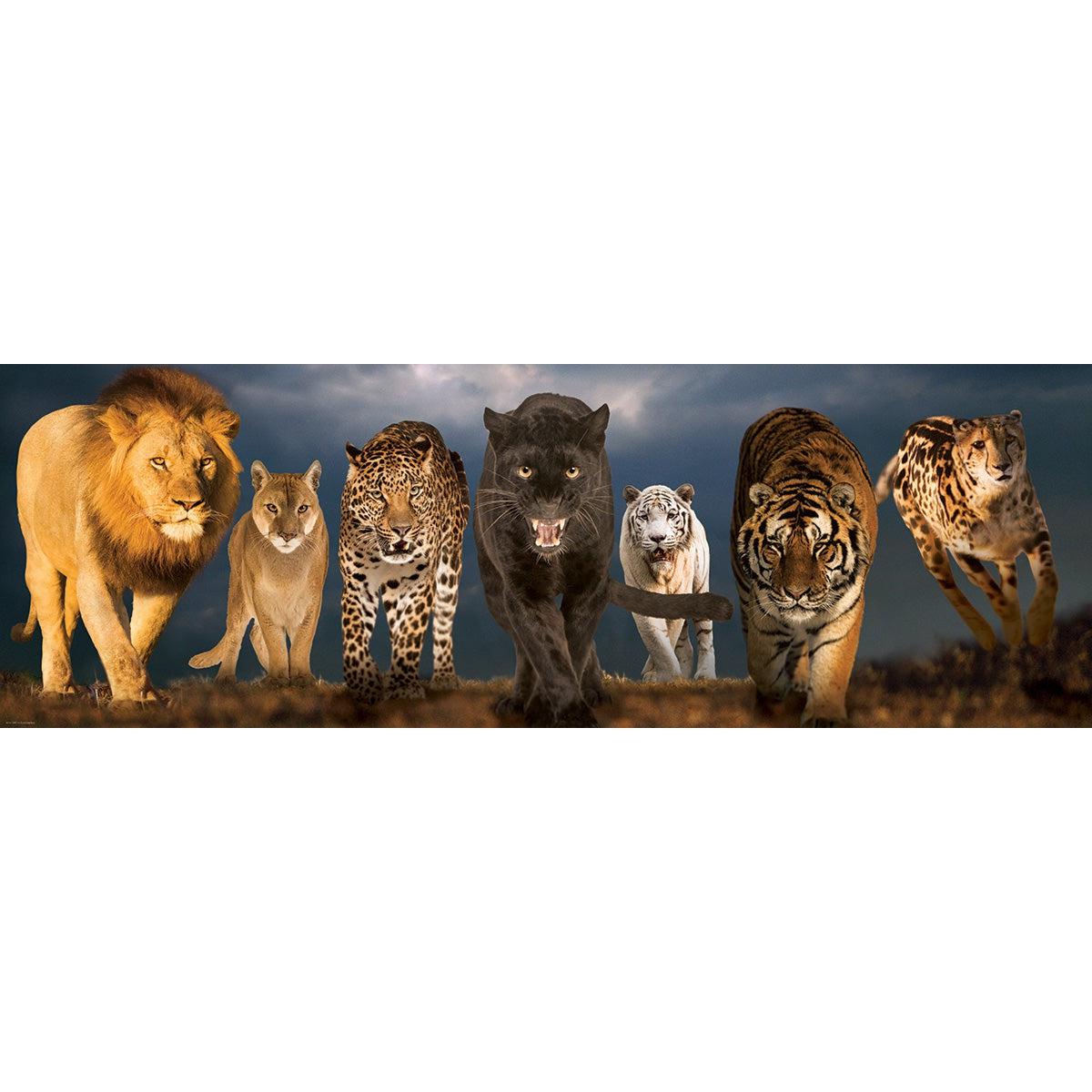 Big Cats 1000 Piece Panoramic Jigsaw Puzzle Eurographics