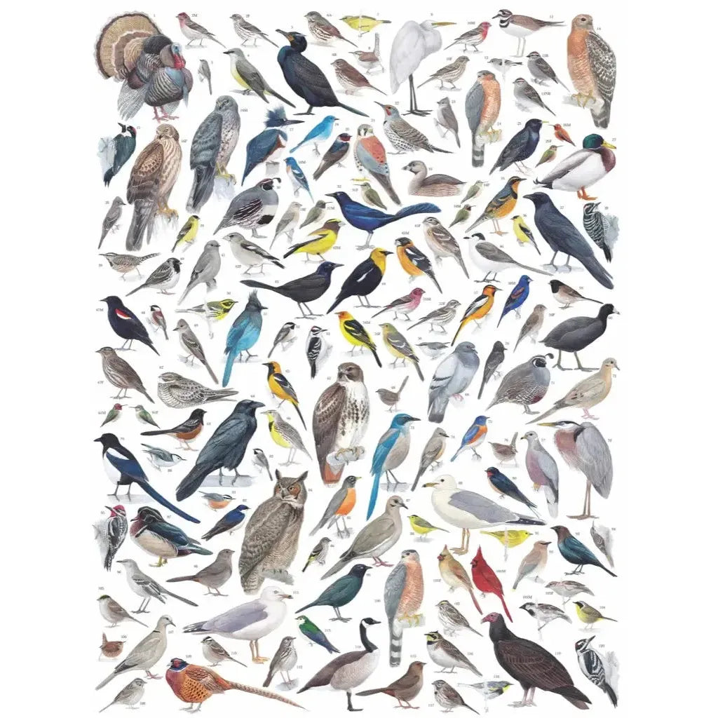 Birds of Western North America 1000 Piece Jigsaw Puzzle NYPC