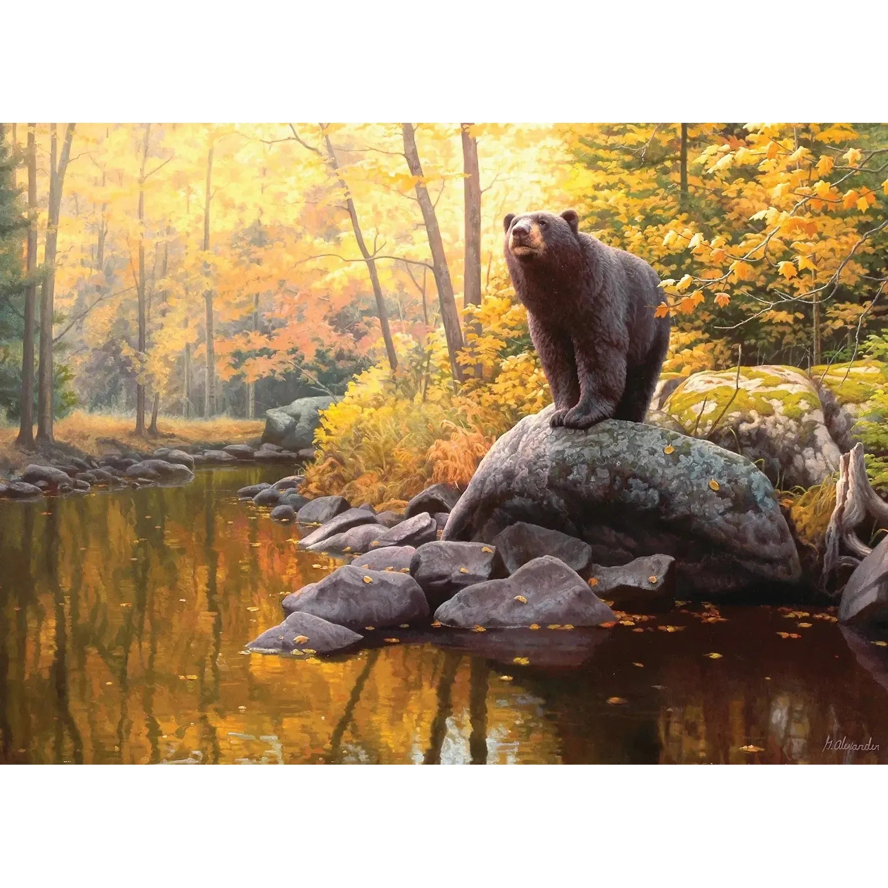 Black Bear Pond 1000 Piece Jigsaw Puzzle Cobble Hill