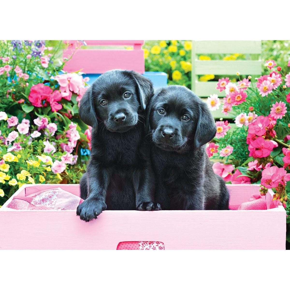 Black Labs in a Pink Box 500 Piece Jigsaw Puzzle Eurographics