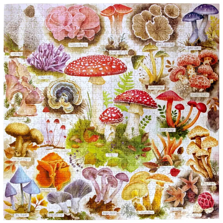 Bountiful Mushrooms 1000 Piece Jigsaw Puzzle eeBoo