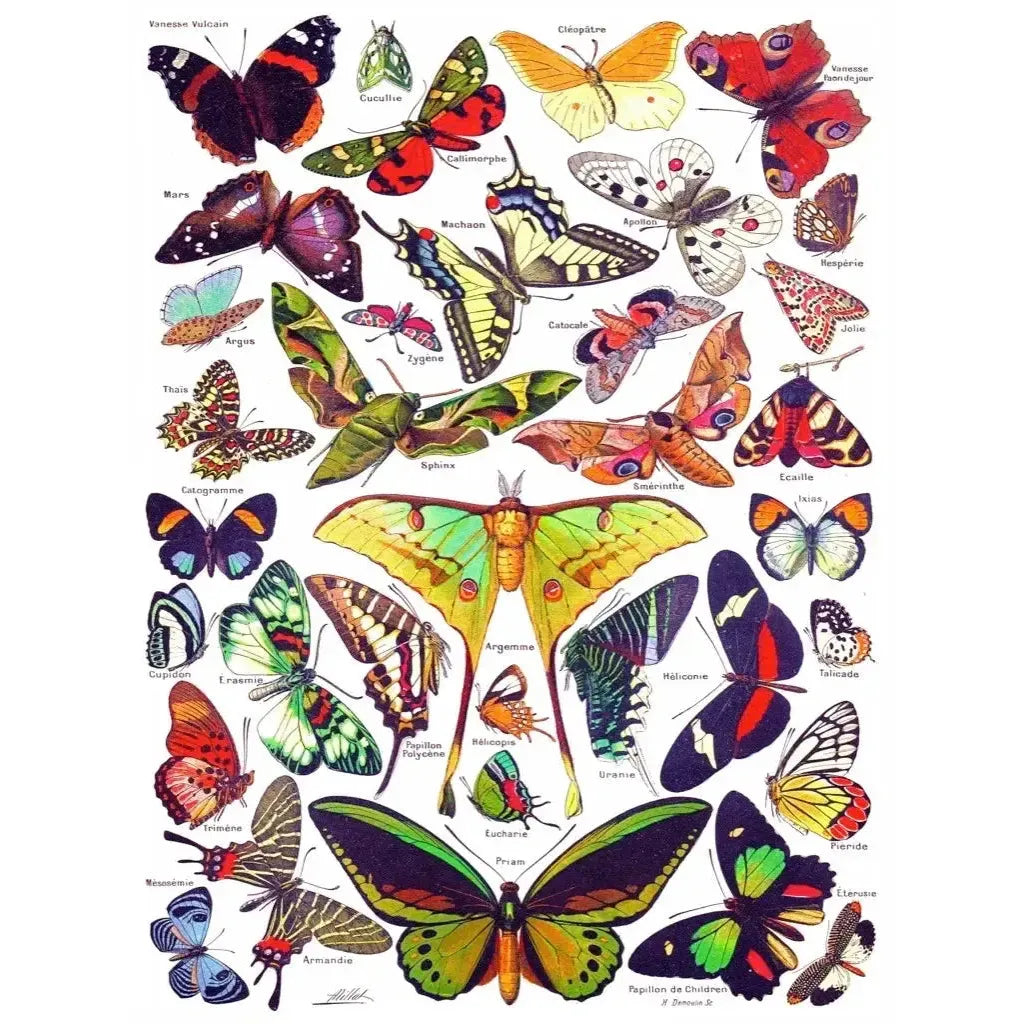 Butterflies ~ Papillons 1000 Piece Jigsaw Puzzle NYPC