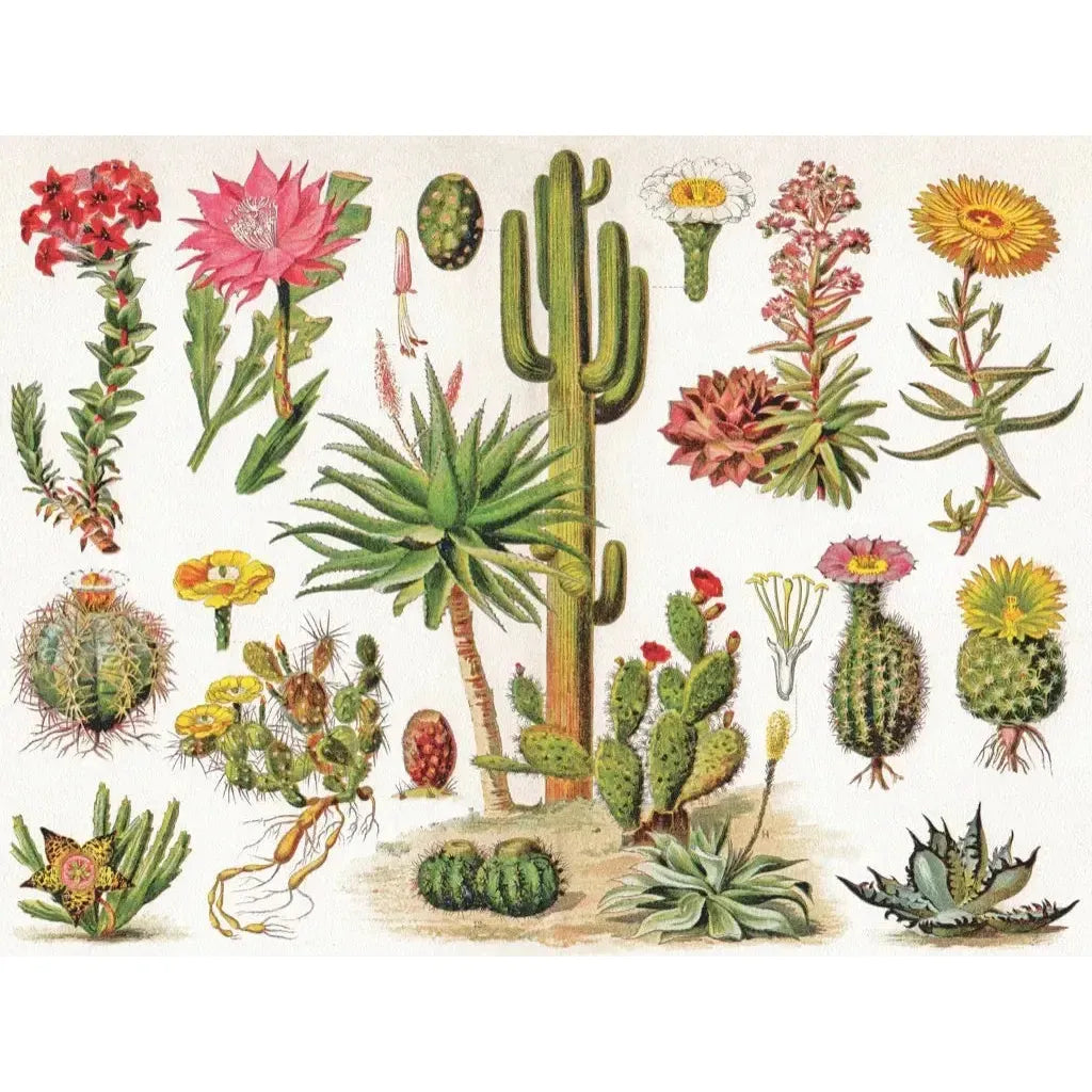 Cacti ~ Cactus 1000 Piece Jigsaw Puzzle NYPC