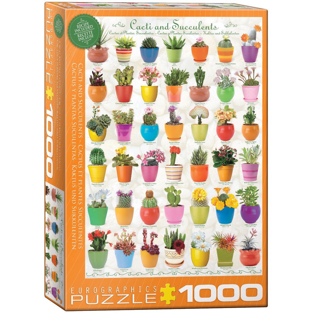 Cacti & Succulents 1000 Piece Jigsaw Puzzle Eurographics