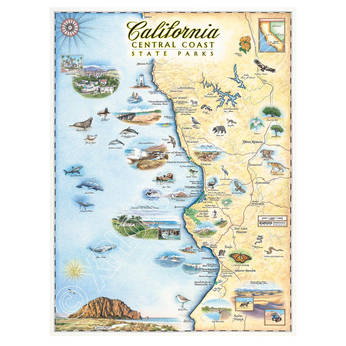 California Central Coast State Park 1000 Piece Jigsaw Puzzle Xplorer Maps