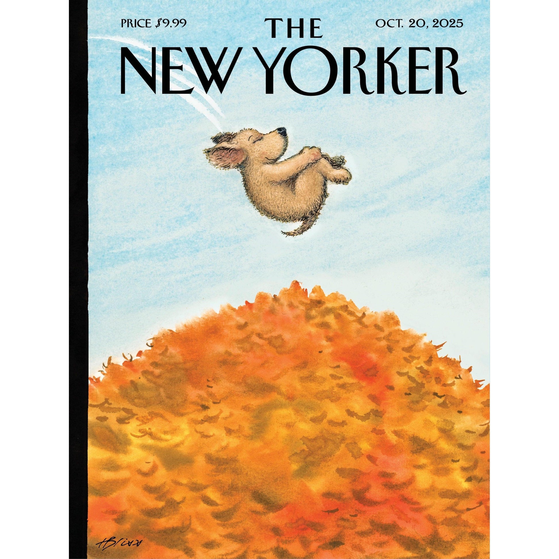 Cannonball The New Yorker 300 Piece Jigsaw Puzzle NYPC