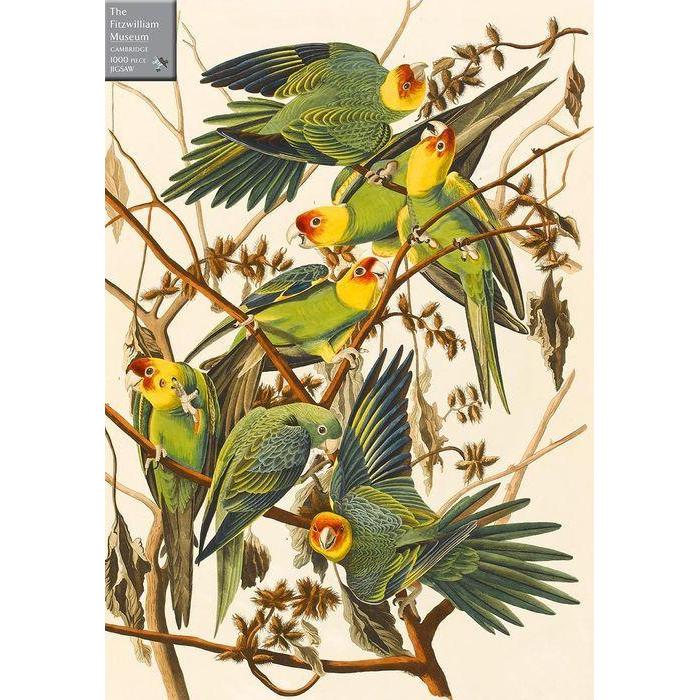 Carolina Parakeets 1000 Piece Jigsaw Puzzle Cambridge
