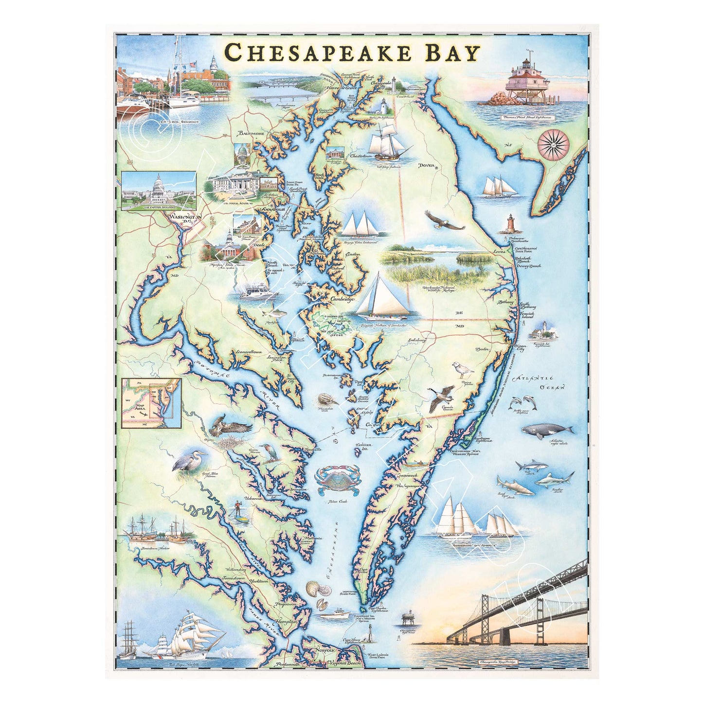 Chesapeake Bay 1000 Piece Jigsaw Puzzle Xplorer Maps