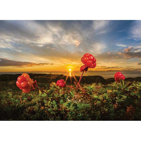 Cloudberries 1000 Piece Jigsaw Puzzle Heye