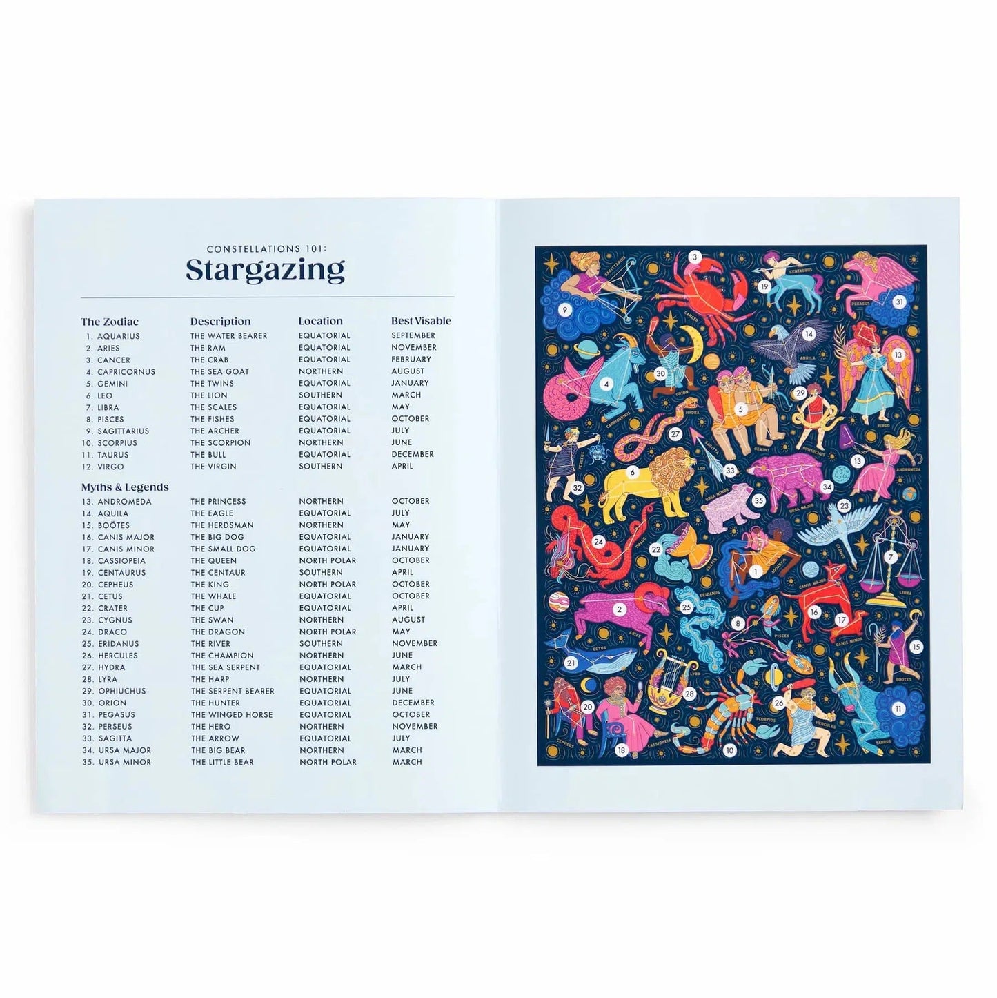 Constellations 101: Stargazing 500 Piece Jigsaw Puzzle Galison