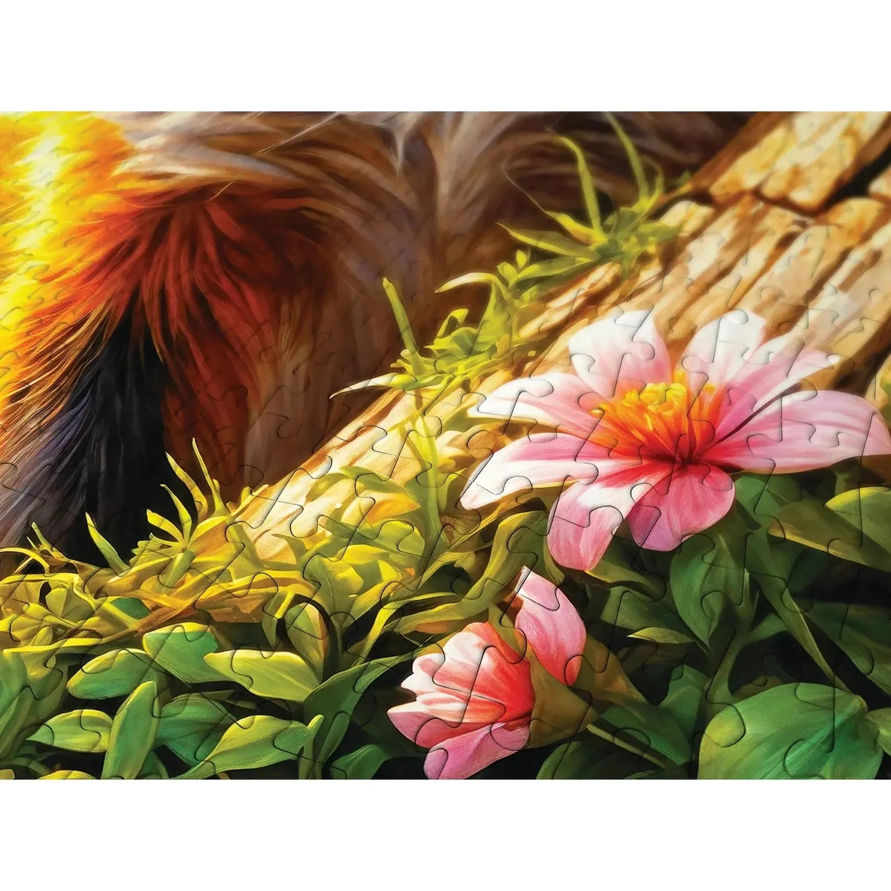 Curious Fox 1000 Piece Jigsaw Puzzle Enjoy