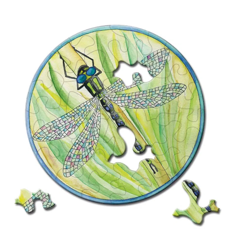 Dragonfly 33 Piece Mini Matchbox Jigsaw Puzzle Curiosi