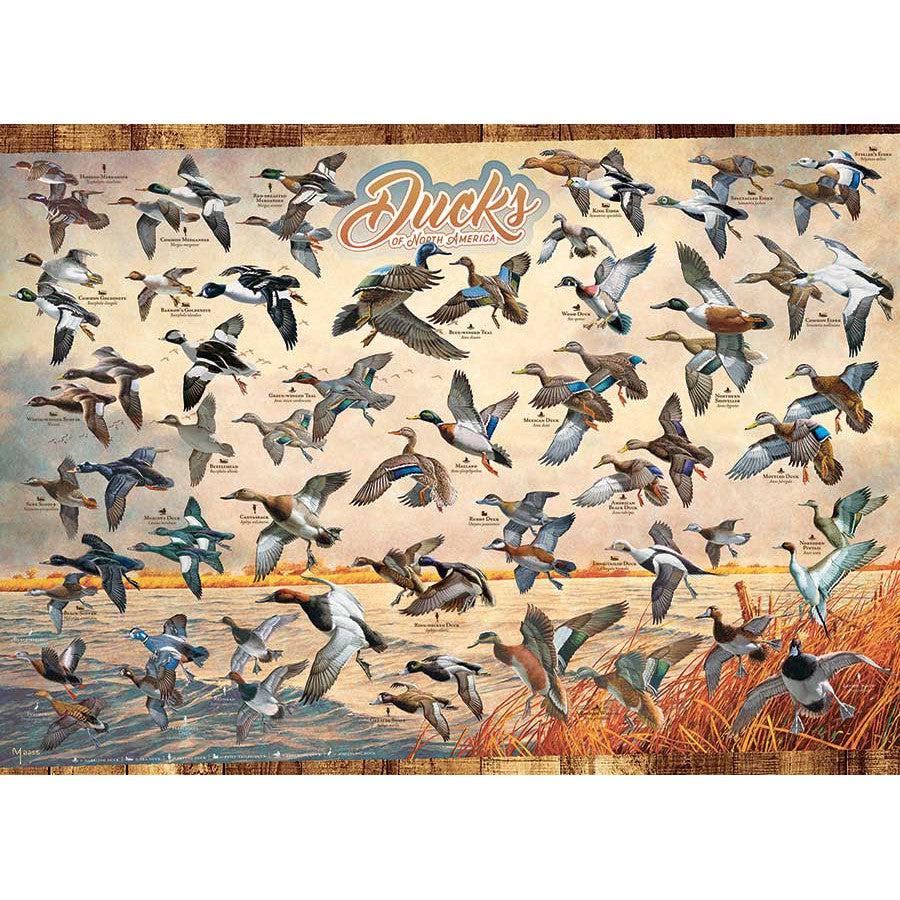 Ducks of North America 1000 Piece Jigsaw Puzzle Cobble Hill