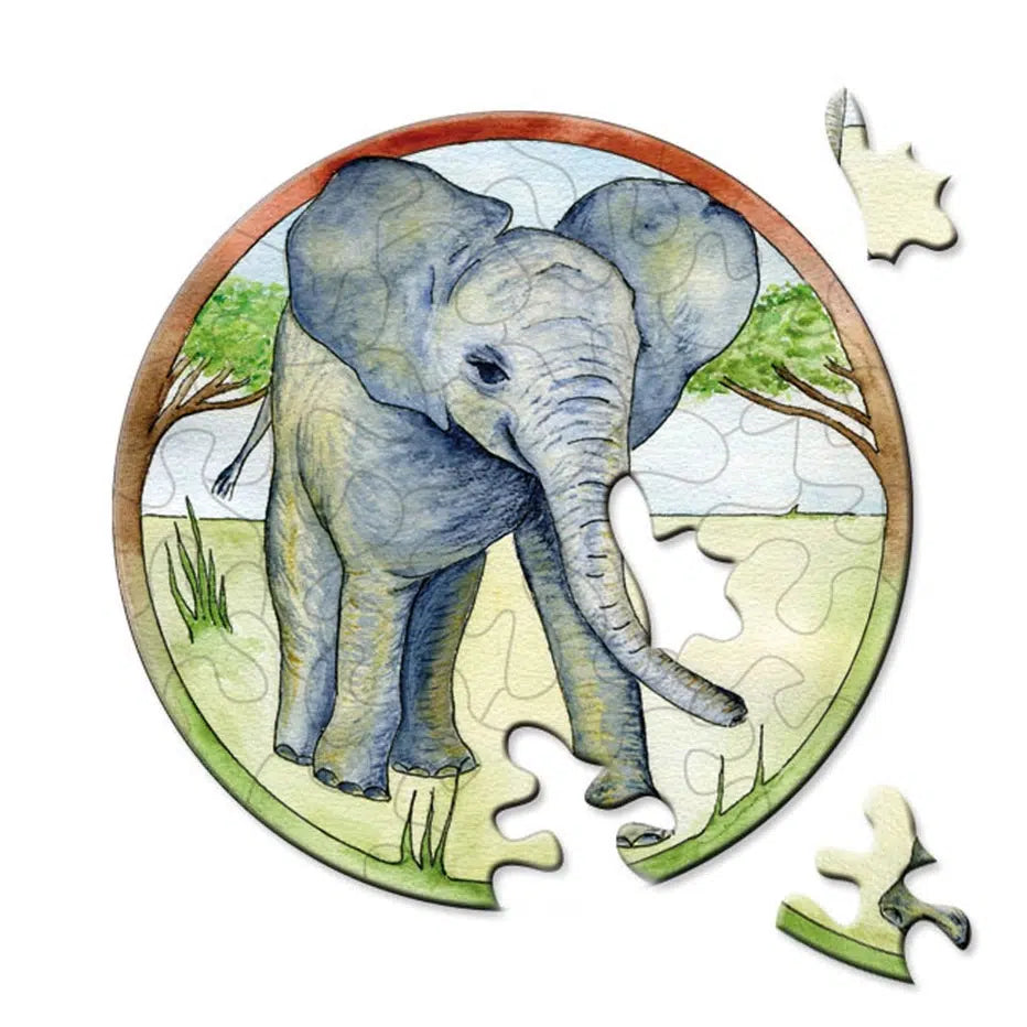 Elephant 33 Piece Mini Matchbox Jigsaw Puzzle Curiosi