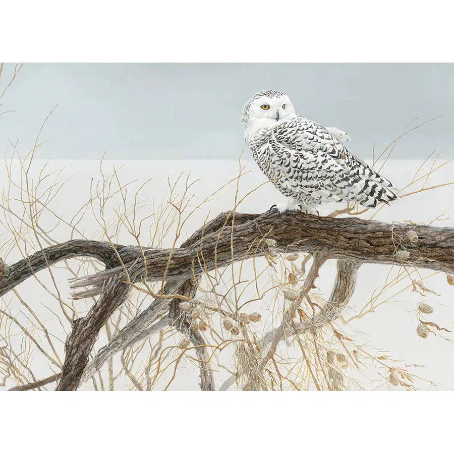 Fallen Willow - Snowy Owl 500 Piece Jigsaw Puzzle Cobble Hill