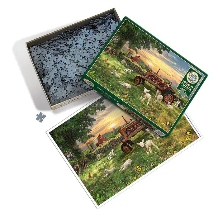 Field at Sunrise 1000 Piece Jigsaw Puzzle Cobble Hill