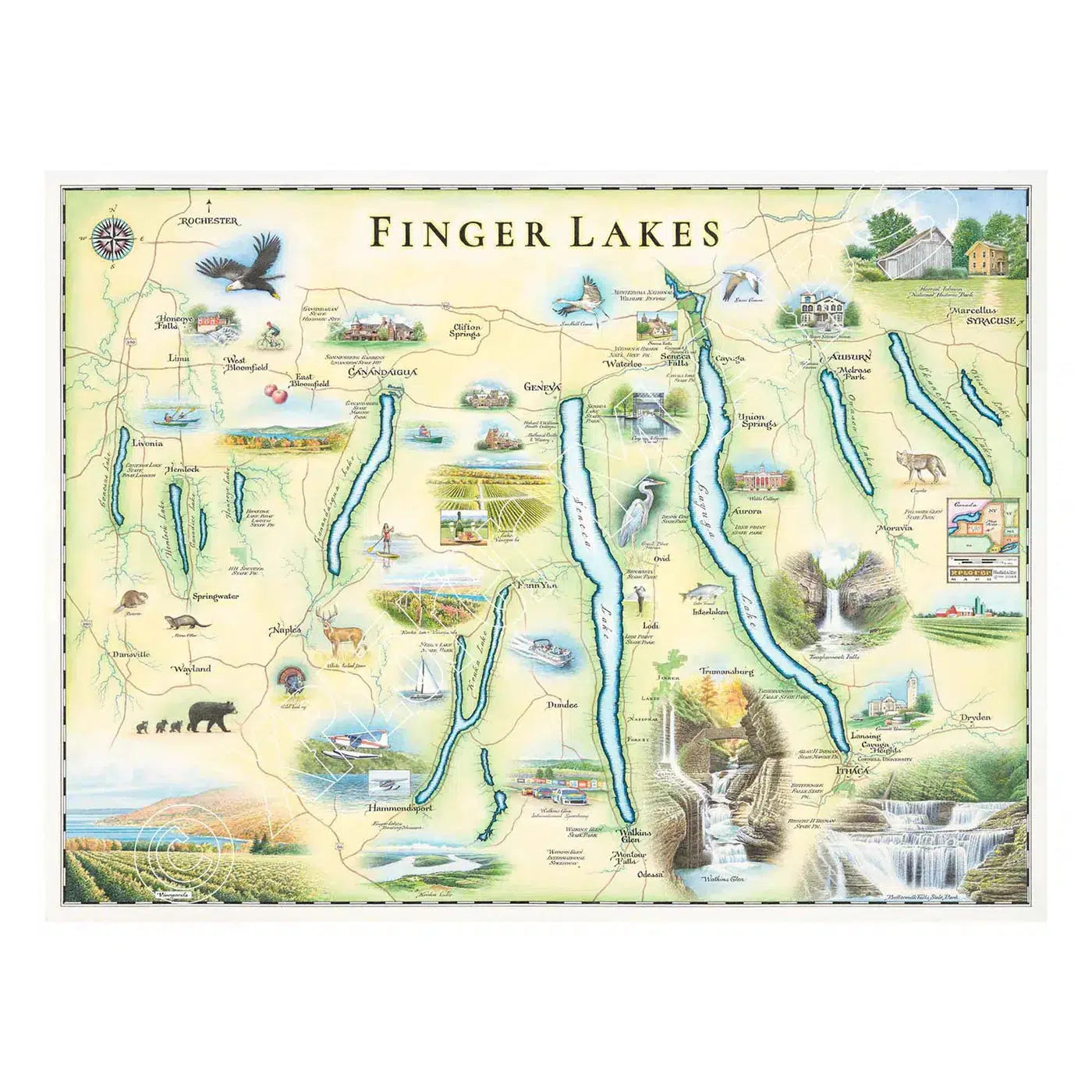 Finger Lakes New York 1000 Piece Jigsaw Puzzle Xplorer Maps