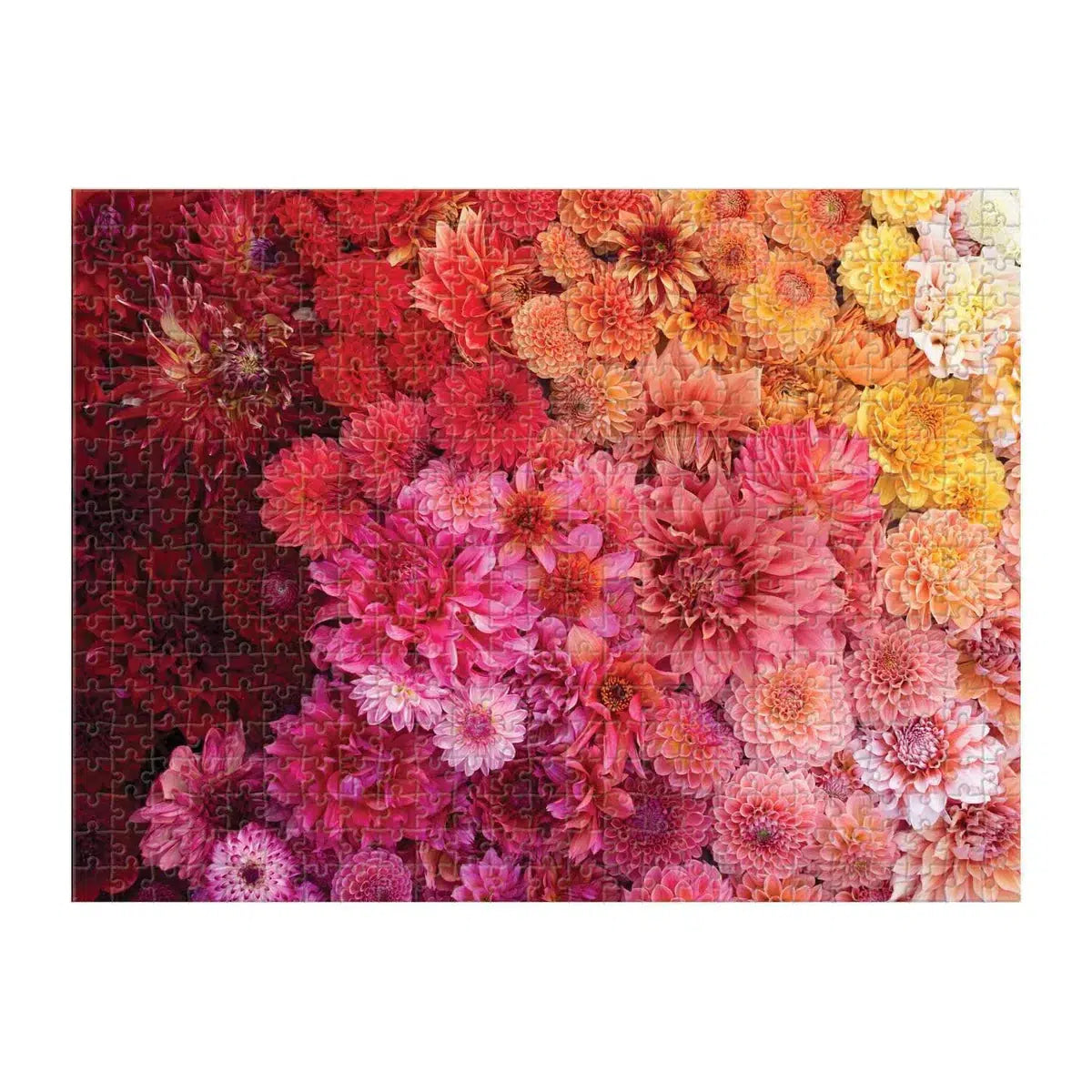 Floret Farm's Cut Flower Garden Double-Sided 500 Piece Jigsaw Puzzle Galison