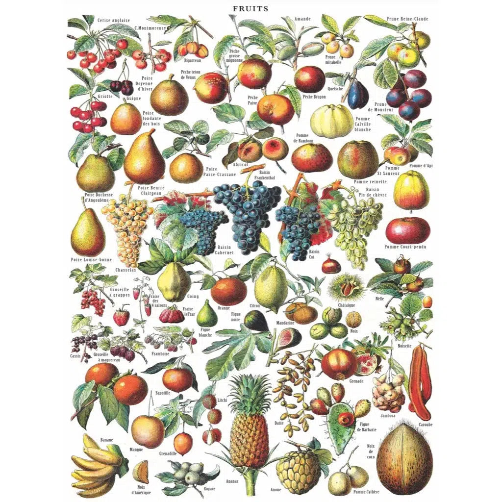 Fruits 1000 Piece Jigsaw Puzzle NYPC