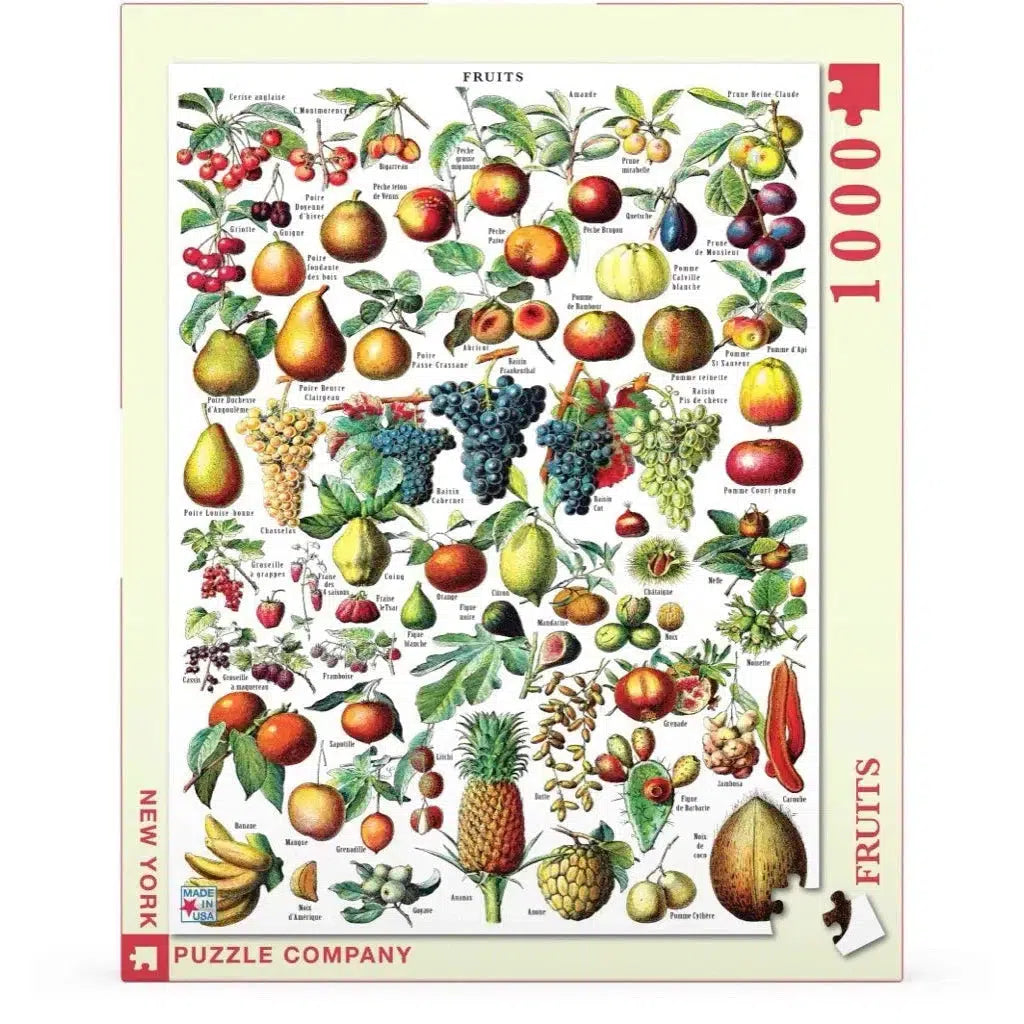 Fruits 1000 Piece Jigsaw Puzzle NYPC