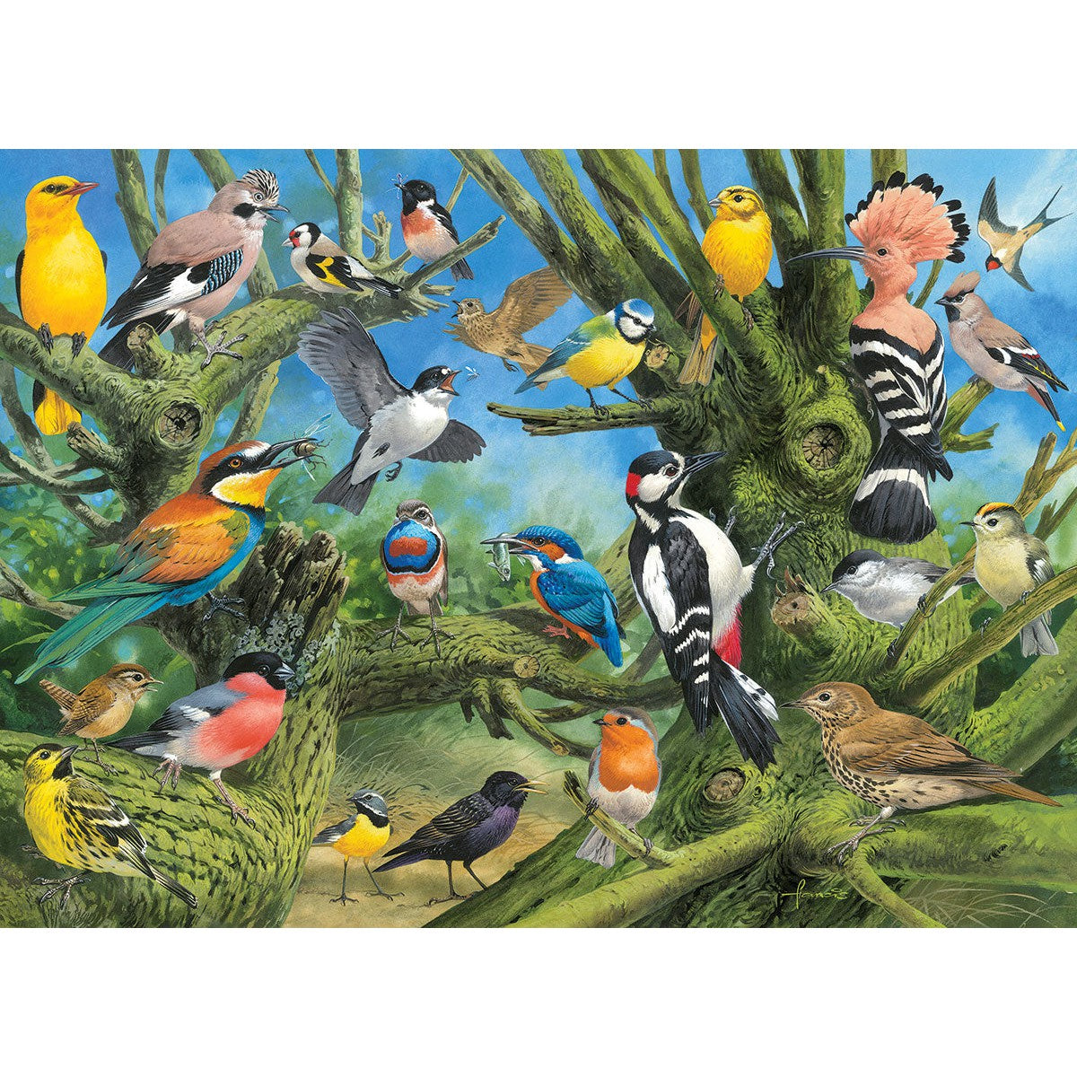 Garden Birds 1000 Piece Jigsaw Puzzle Eurographics