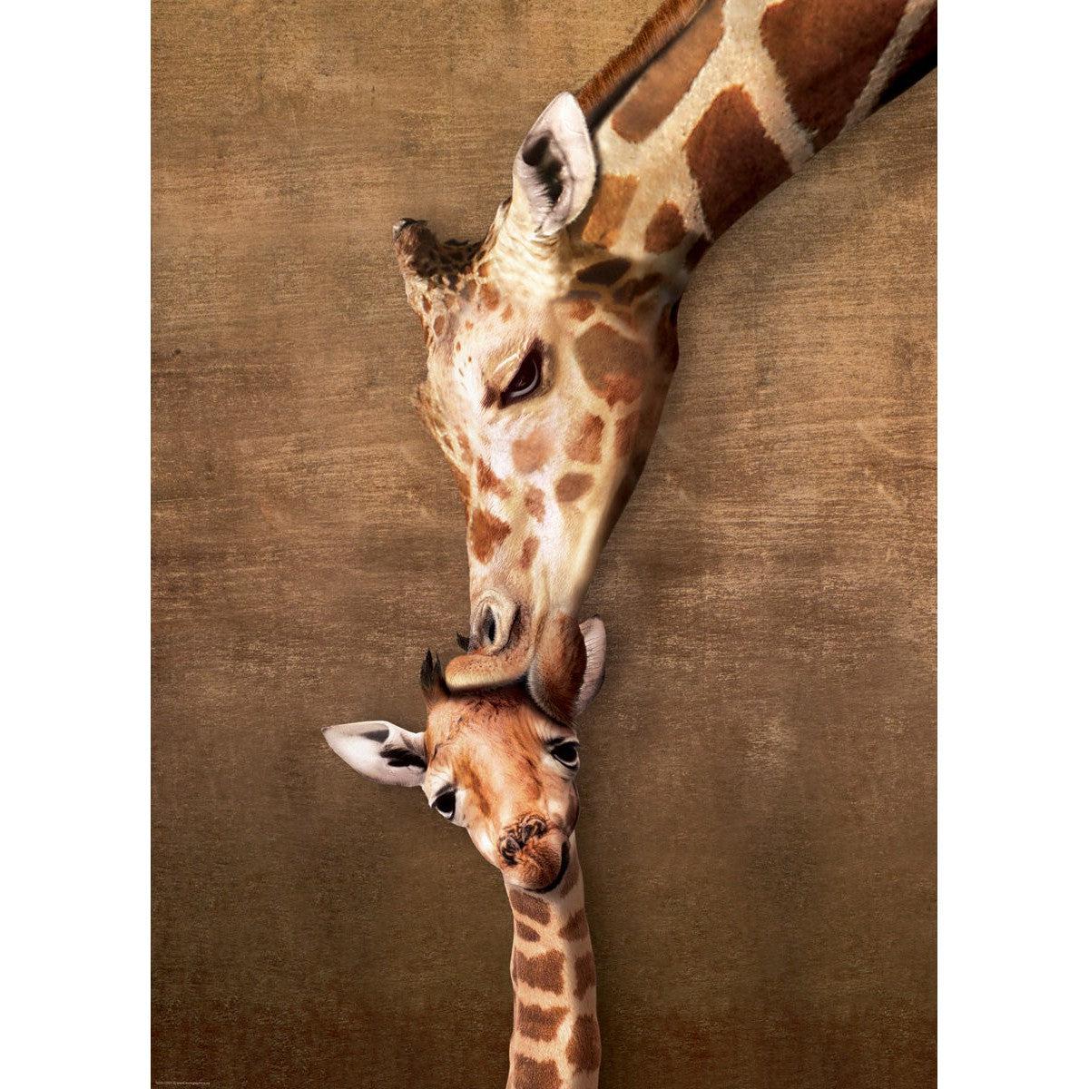 Giraffe Mother's Kiss 500 Piece Jigsaw Puzzle Eurographics