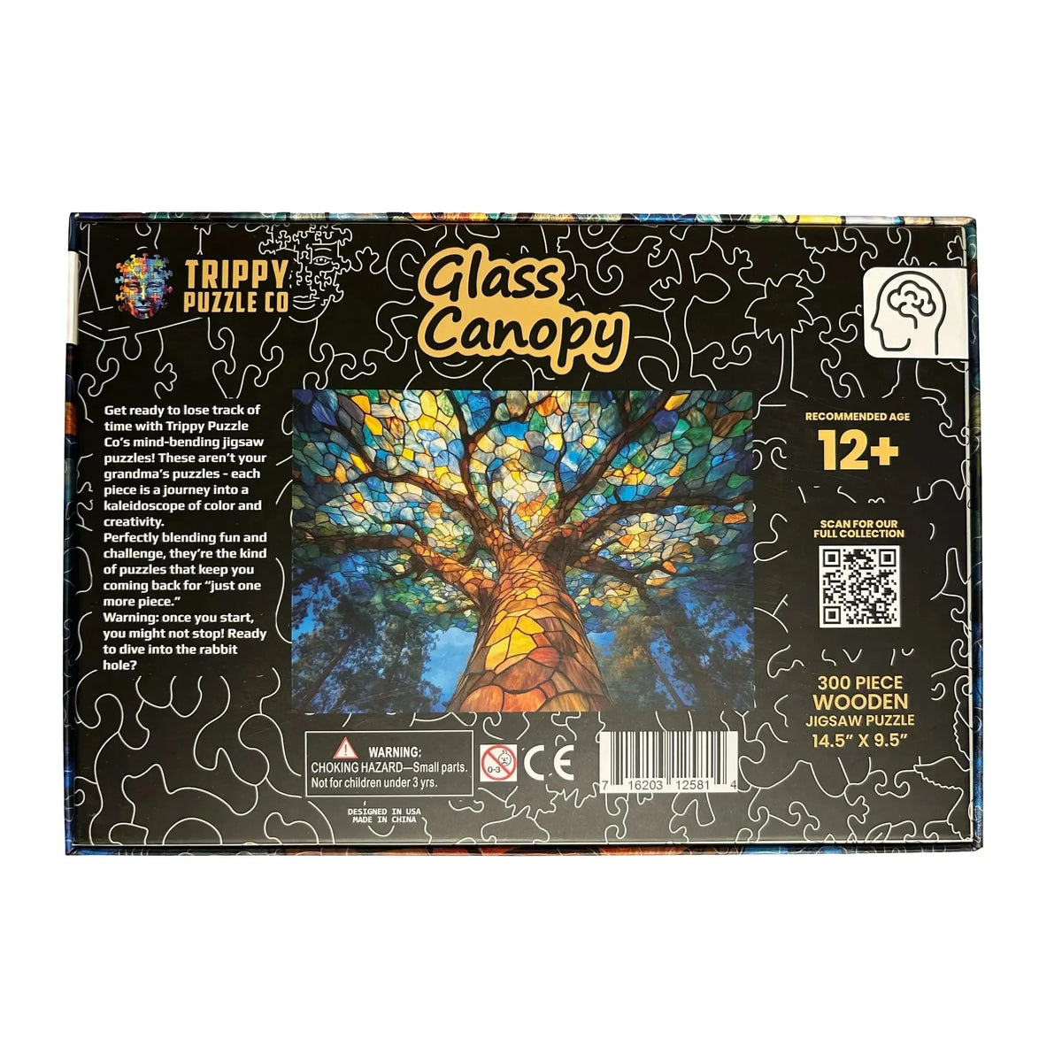 Glass Canopy 300 Piece Wooden Jigsaw Puzzle Trippy