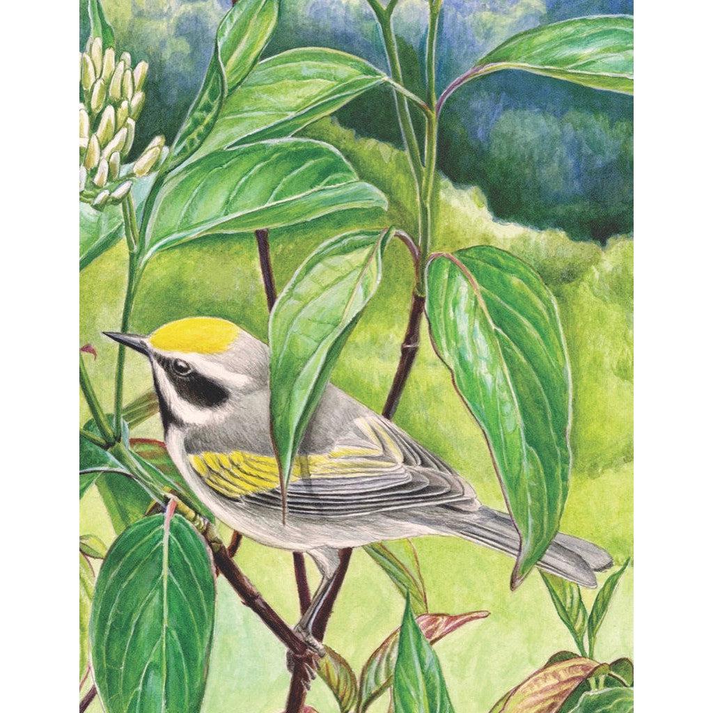 Golden-winged Warbler 100 Piece Mini Jigsaw Puzzle NYPC