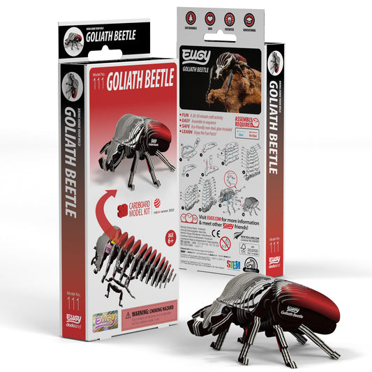 Goliath Beetle 3D Cardboard Model Kit Eugy