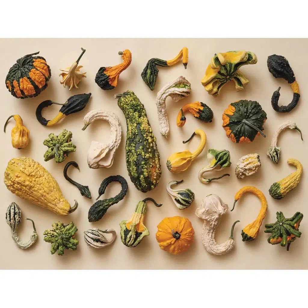 Gourd Collection 1000 Piece Jigsaw Puzzle NYPC