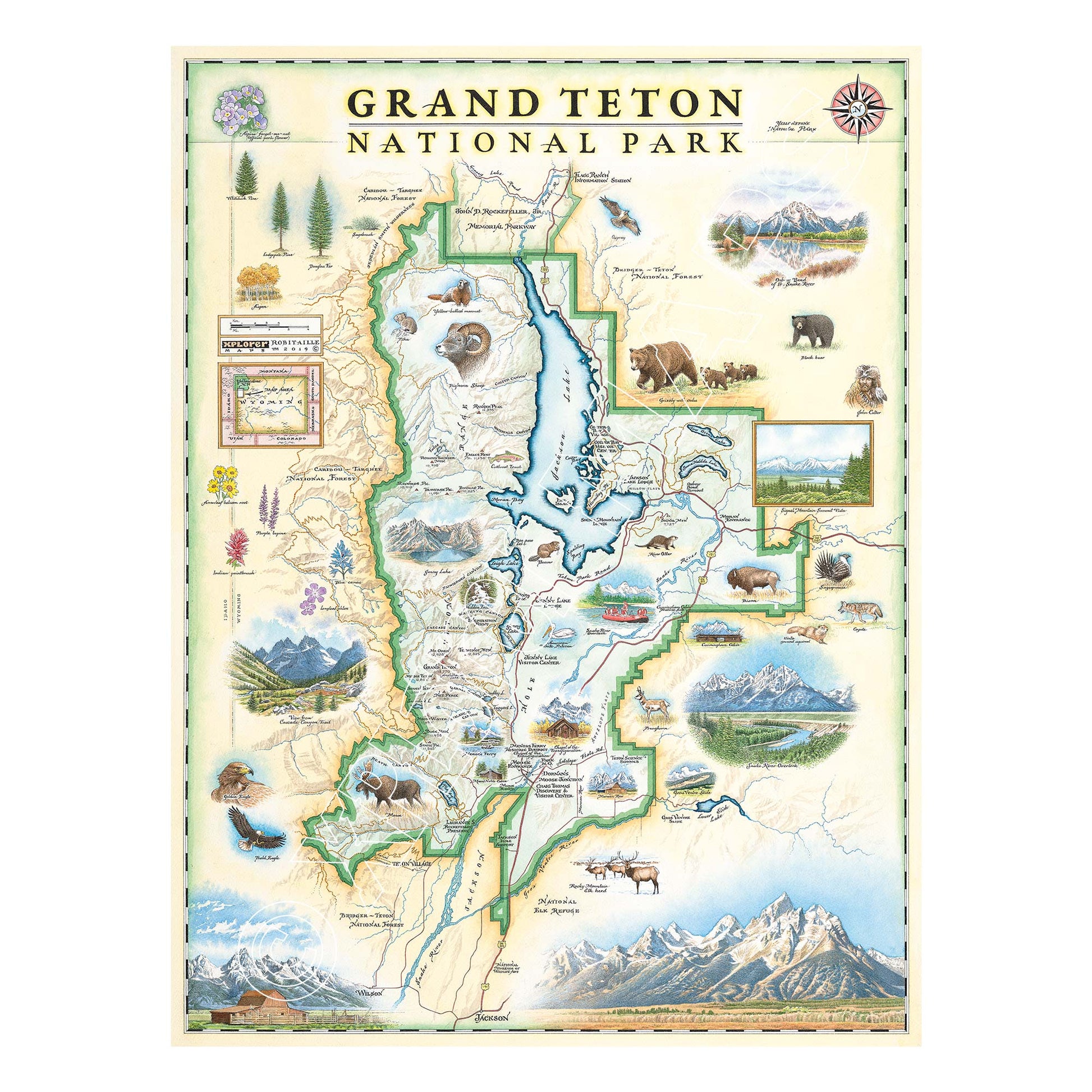 Grand Teton National Park 1000 Piece Jigsaw Puzzle Xplorer Maps