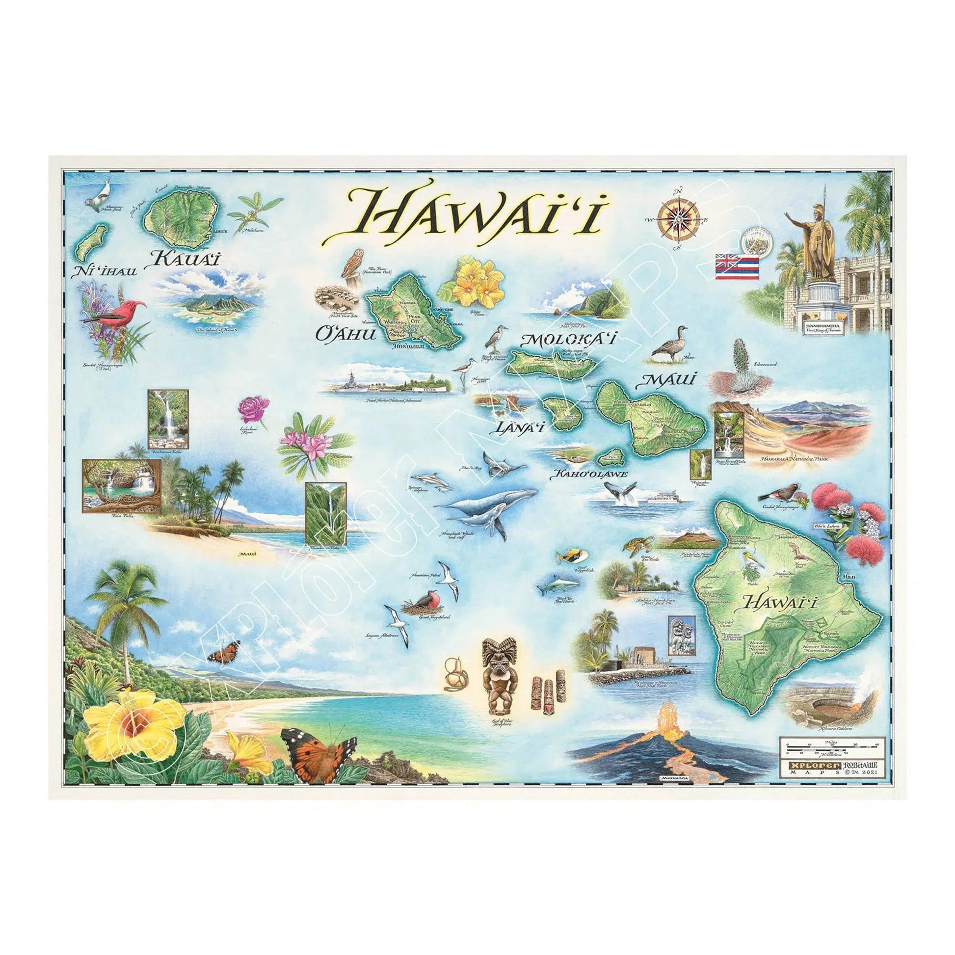 Hawaii 1000 Piece Jigsaw Puzzle Xplorer Maps