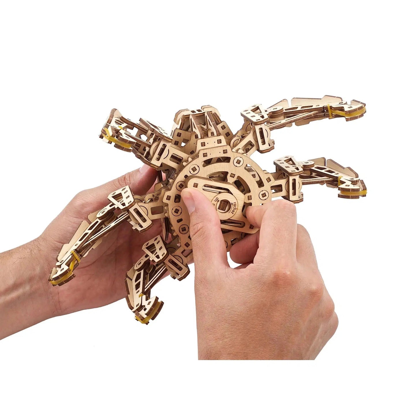 Hexapod Explorer 3D Wood Model Kit UGEARS