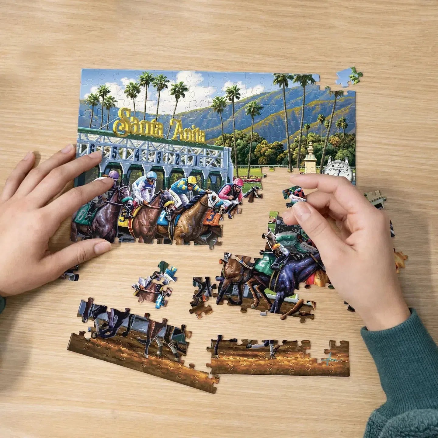 Horse Race 210 Piece Jigsaw Puzzle Boardwalk