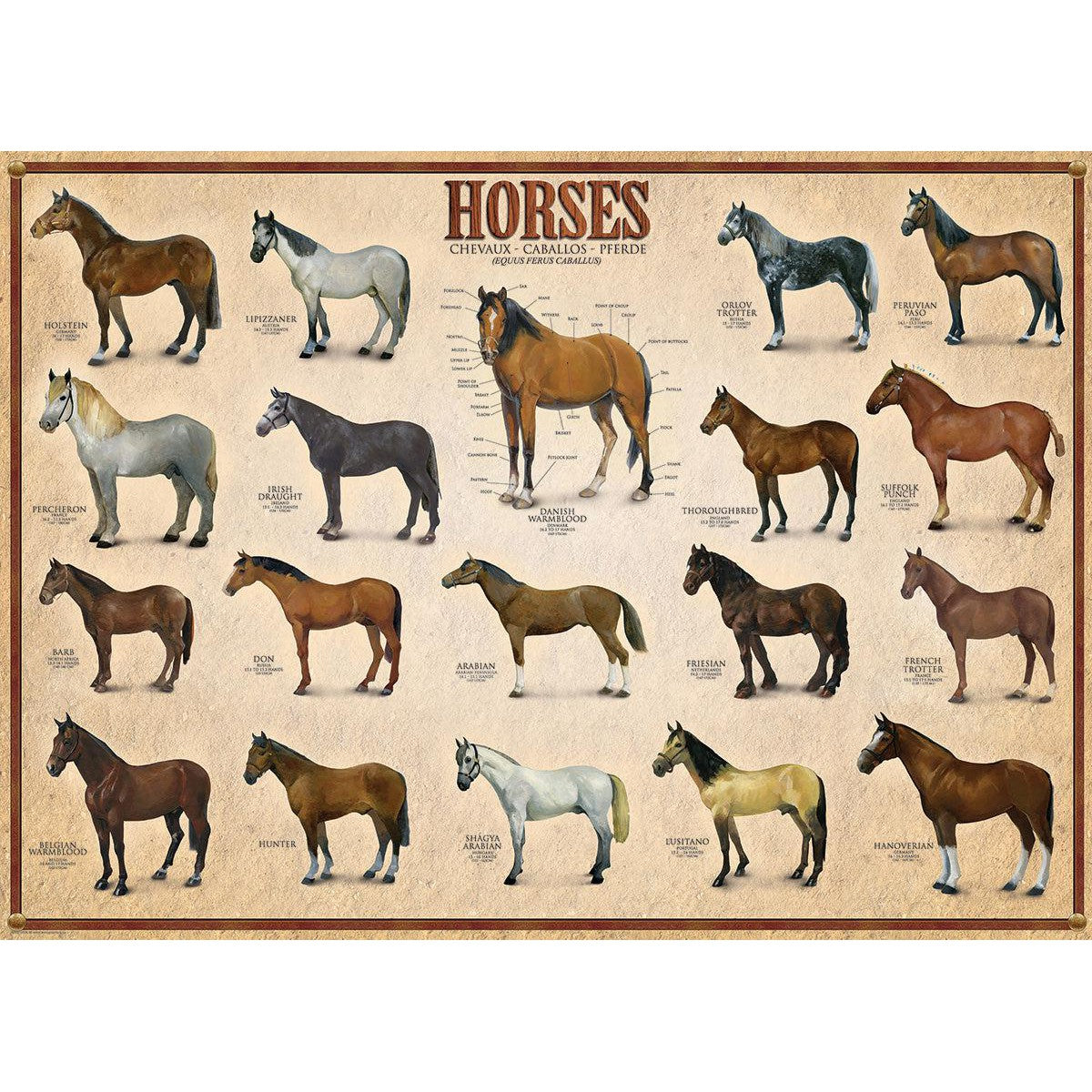 Horses 1000 Piece Jigsaw Puzzle Eurographics