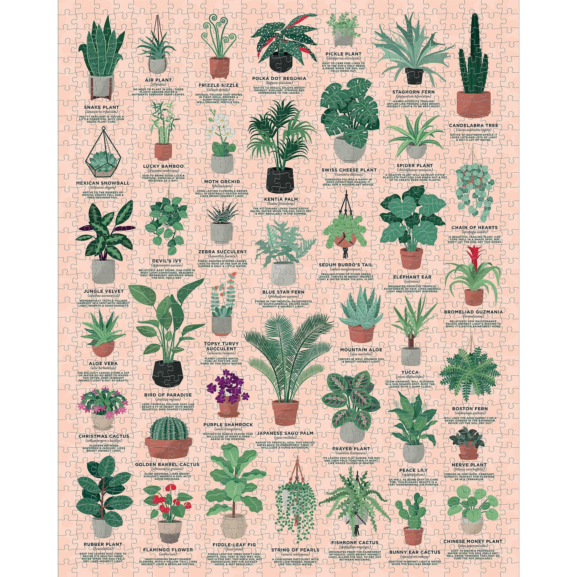 House Plants 1000 Piece Jigsaw Puzzle Ridley