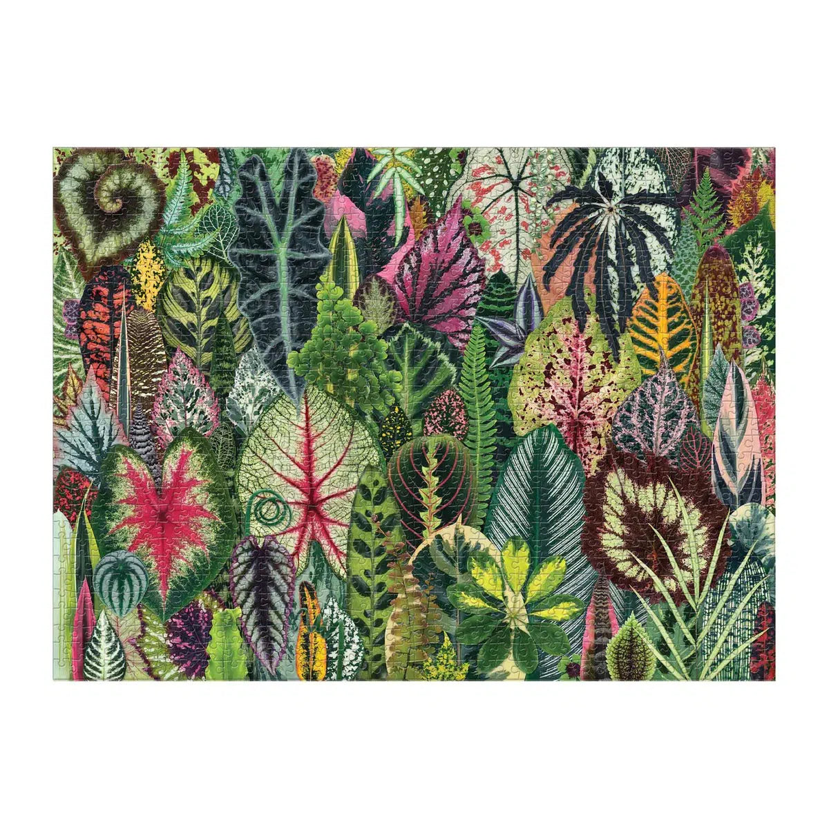 Houseplant Jungle 1000 Piece Jigsaw Puzzle Galison