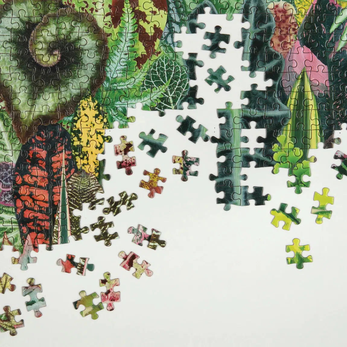 Houseplant Jungle 1000 Piece Jigsaw Puzzle Galison