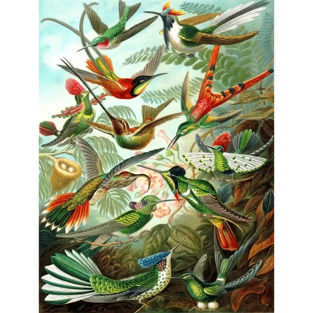 Hummingbirds 1000 Piece Jigsaw Puzzle NYPC