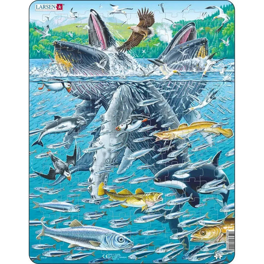 Humpback Whales in a School of Herrings 140 Piece Tray Jigsaw Puzzle Larsen