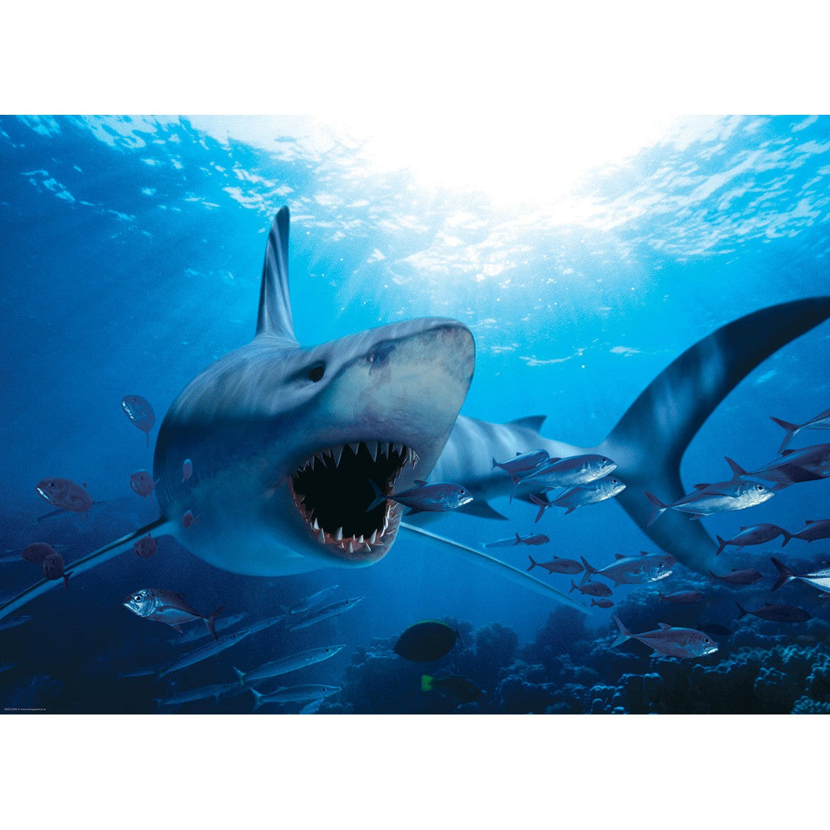 Hungry Shark 1000 Piece Jigsaw Puzzle Eurographics