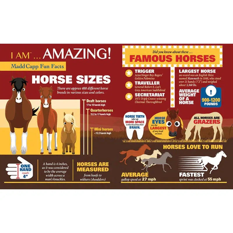 I Am Horse 300 Piece Head Shaped Jigsaw Puzzle Madd Capp