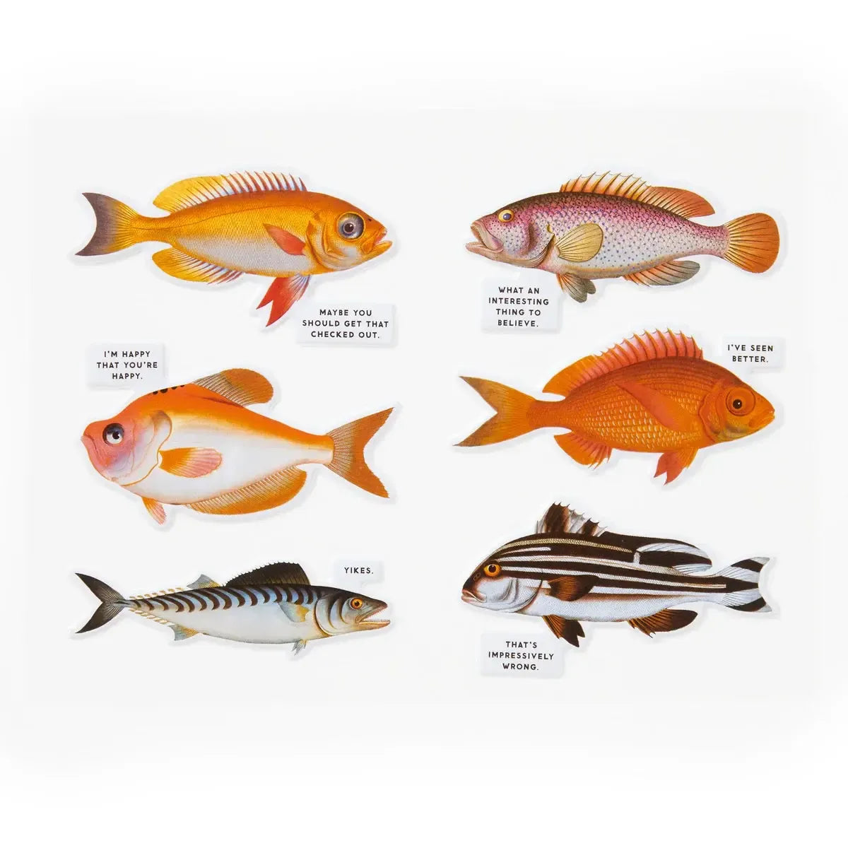 Judgy Fish 1000 Piece Jigsaw Puzzle (+Stickers) Brass Monkey