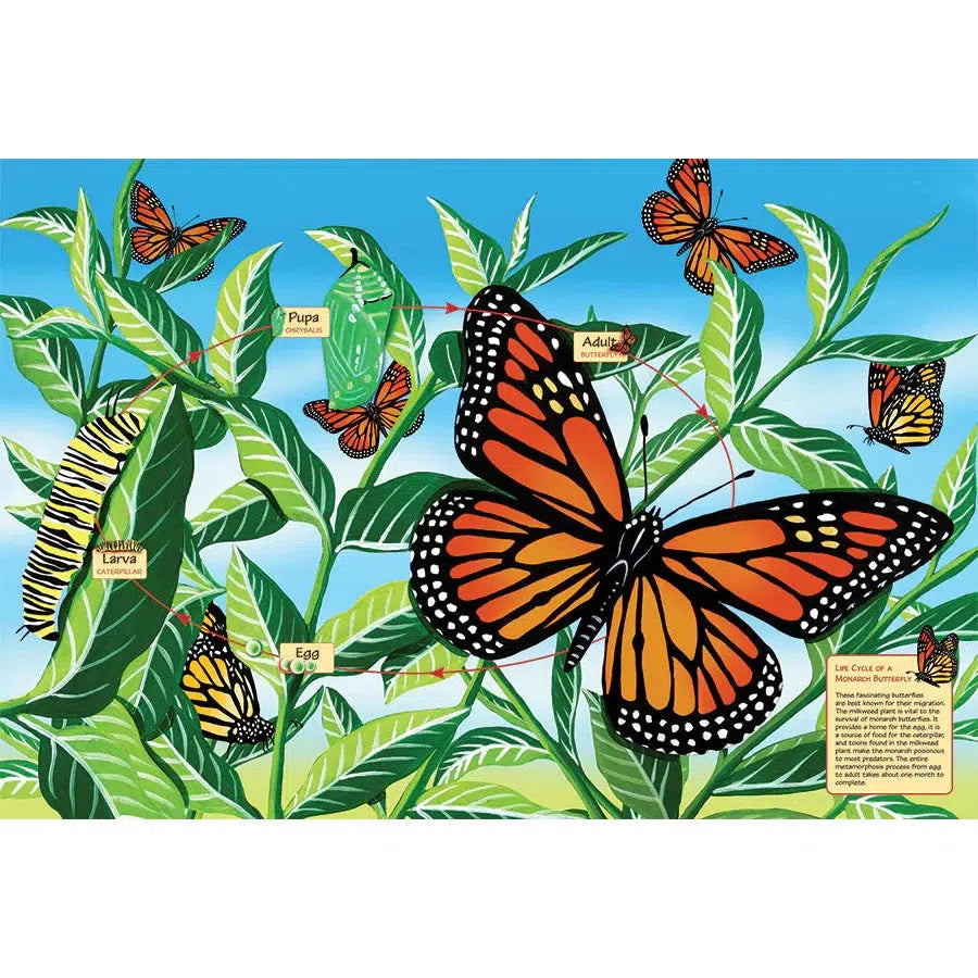 Life Cycle of a Monarch Butterfly 48 Piece Floor Jigsaw Puzzle Cobble Hill