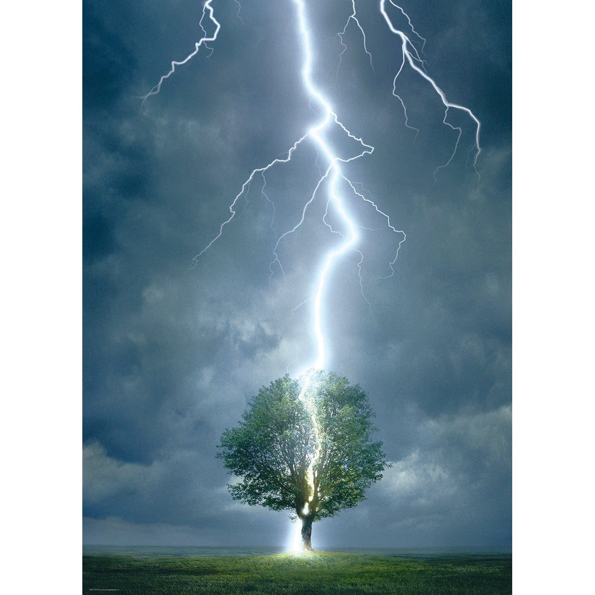 Lightning Striking Tree 1000 Piece Jigsaw Puzzle Eurographics