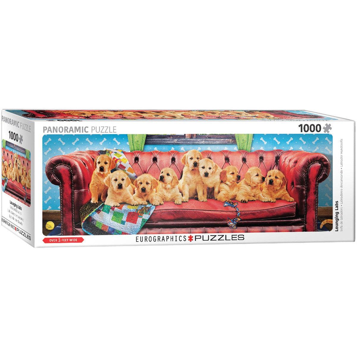 Lounging Labs 1000 Piece Panoramic Jigsaw Puzzle Eurographics