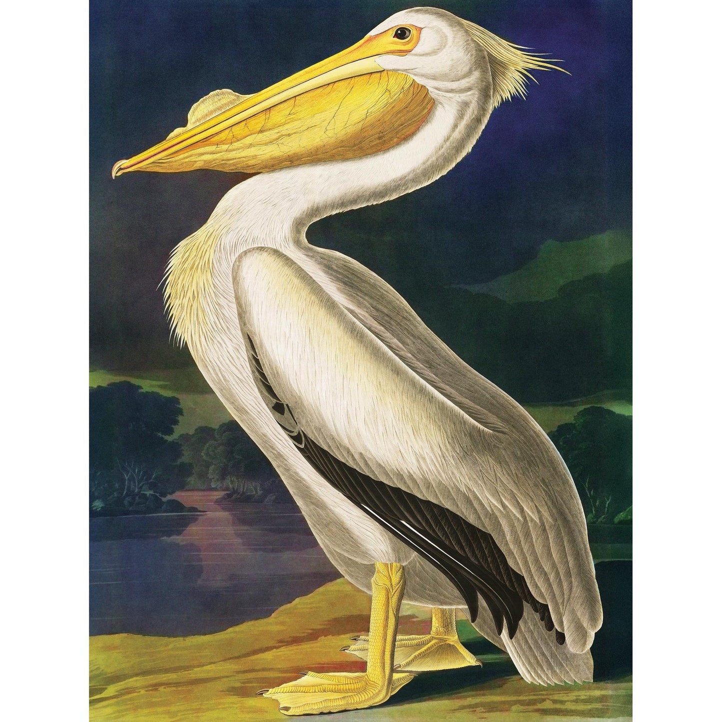 Majestic Pelican Vintage Collection 500 Piece Jigsaw Puzzle NYPC
