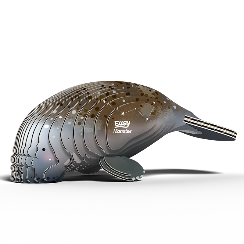 Manatee 3D Cardboard Model Kit Eugy